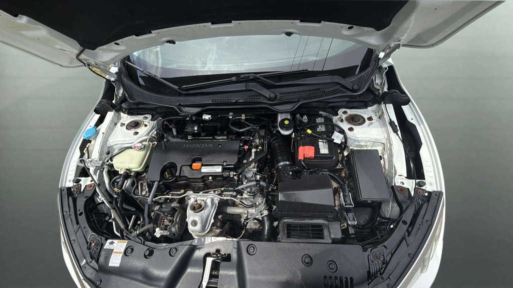 civic-11-1759394601179-294528173