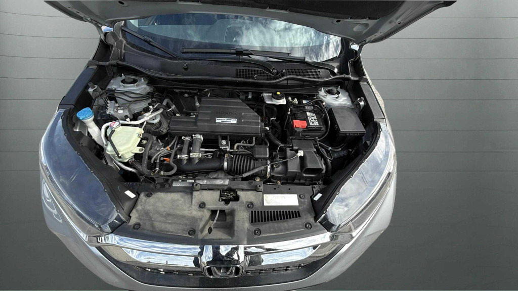 crv-21-1759365398691-324243839