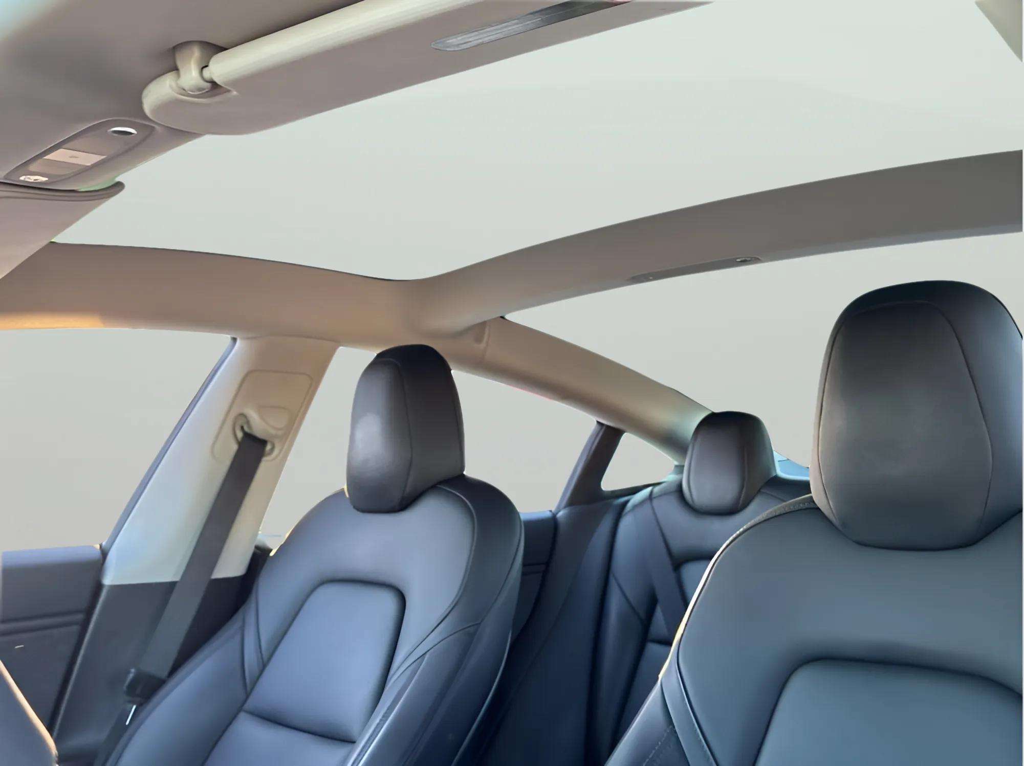 2019 Tesla Model 3 Standard Range Plus RWD - Photo 12